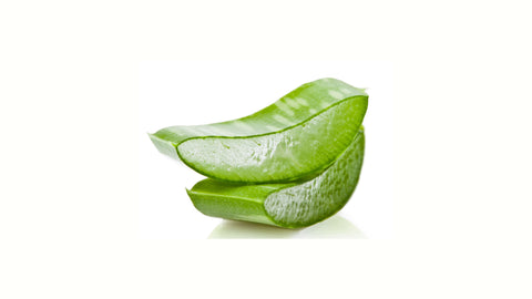 ALOË VERA SAP MET BIO CERTIFICERING
